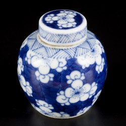 Een porseleinen voorraadpotje met prunus decor, China, 19e eeuw.