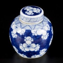 Een porseleinen voorraadpotje met prunus decor, China, 19e eeuw.