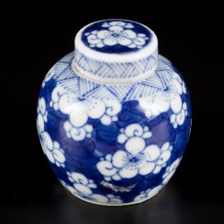 Een porseleinen voorraadpotje met prunus decor, China, 19e eeuw.