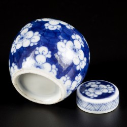 Een porseleinen voorraadpotje met prunus decor, China, 19e eeuw.