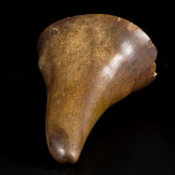 Een Libation cup, hoorn van een Sumatraanse(?) neushoorn, China, 18e eeuw.