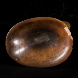 Een Libation cup, hoorn van een Sumatraanse(?) neushoorn, China, 18e eeuw.
