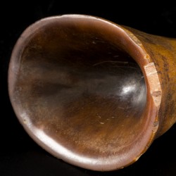 Een Libation cup, hoorn van een Sumatraanse(?) neushoorn, China, 18e eeuw.