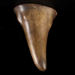 Een Libation cup, hoorn van een Sumatraanse(?) neushoorn, China, 18e eeuw.