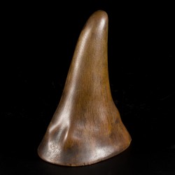 Een Libation cup, hoorn van een Sumatraanse(?) neushoorn, China, 18e eeuw.