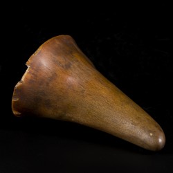 Een Libation cup, hoorn van een Sumatraanse(?) neushoorn, China, 18e eeuw.