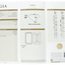 GIA-gecertificeerde emerald geslepen diamant 7.15 ct.