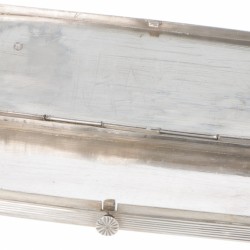 Brillenetui zilver.