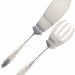 Viscouvert zilver.