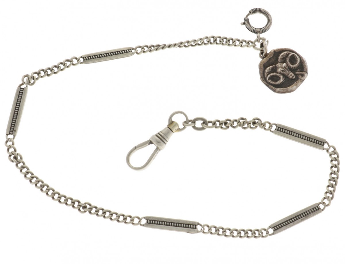 Zakhorlogeketting staal