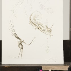Salvador Dali (Figueres 1904-1989), Tristan en de draak, afkomstig uit het Duitstalige portfolio "Tristan und Isolde", 1969.