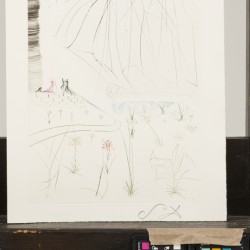 Salvador Dali (Figueres 1904-1989), De komst van Isolde, afkomstig uit het Duitstalige portfolio "Tristan und Isolde", 1969.