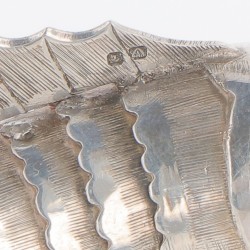 Miniatuur vis zilver.