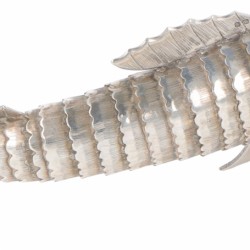 Miniatuur vis zilver.