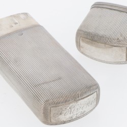 Brillenkoker zilver.