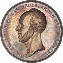 Nederland. 1860. Prijspenning Koninklijke Meteorologische Commissie.