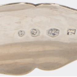 Saladetang zilver.