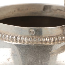 Theepot zilver.