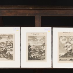 Een lot bestaande uit (5) diverse gravures, daarvan (2) met Afrikaanse taferelen (Alain Manesson Mallet (1630 – 1706), Frankrijk, 1719).