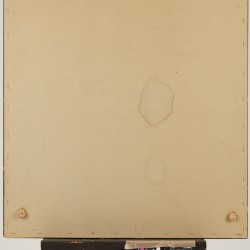 Ducatus Geldriae /  Nova Tabula / In Tetrarchias / Noviomagi, Arnhemii / Ruremondiae ac / Zutphaniae Comitatum. door Mattheus Seutte, Nuremberg, 1732-1757.
