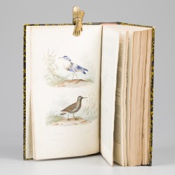 Georges-Louis Leclerc, Comte de Buffon (1707-1788), Oeuvres complètes de Buffon, Librairie Historique Illustreé, Parijs, 1853.
