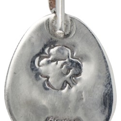 Teddy Goodluck Navajo sterling zilveren Native American hanger bezet met turkoois.