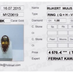 18 kt. Geelgouden Mimoza cocktail ring bezet met ca. 0.62 ct. diamant en kleursteen.
