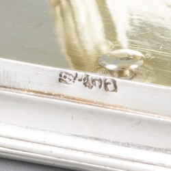 Snuifdoosje met lepeltje zilver.