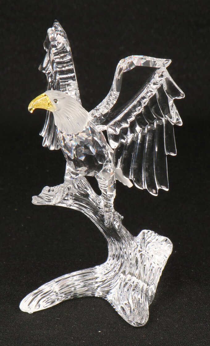 Swarovski Zeearend