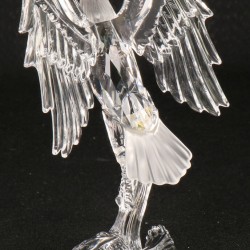 Swarovski Zeearend
