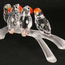 Swarovski Dwergpapegaaien