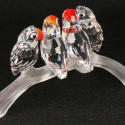 Swarovski Dwergpapegaaien