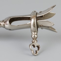 Wildboutklem zilver.
