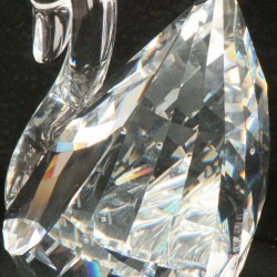 Swarovski Prestige zwaan.