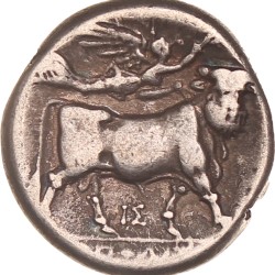 Campania. Neapolis. AR Nomos or Didrachm. N.D. (275 - 250 BC).