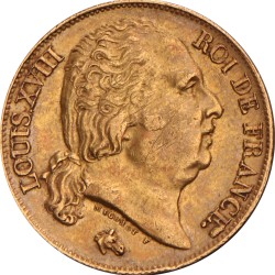 France. Louis XVIII. 20 Francs. 1817 Q.