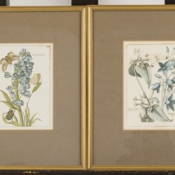 Een achttal prenten van Mylink (= Hendrik Leffert Mijling Amsterdam 1757 - 1821 Groningen) naar originelen van P.T. van Brussel (Polsbroek 1754 - 1795 Amsterdam), (handgekleurd) van bloemen en planten.