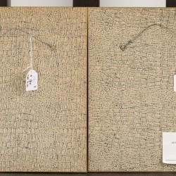 Een achttal prenten van Mylink (= Hendrik Leffert Mijling Amsterdam 1757 - 1821 Groningen) naar originelen van P.T. van Brussel (Polsbroek 1754 - 1795 Amsterdam), (handgekleurd) van bloemen en planten.