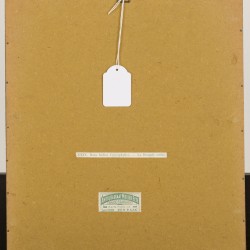 Franse School, een set van (4) lithografieën, voorstellende diverse rozen, 19e eeuw.