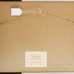 Duitse School, Een set van (3) prenten, waarvan twee optica, voorstellende Palazzo Vecchio en Ufizzi, en de Poort van Saint Denis / Porte Saint Denis te Parijs, 18e eeuw.