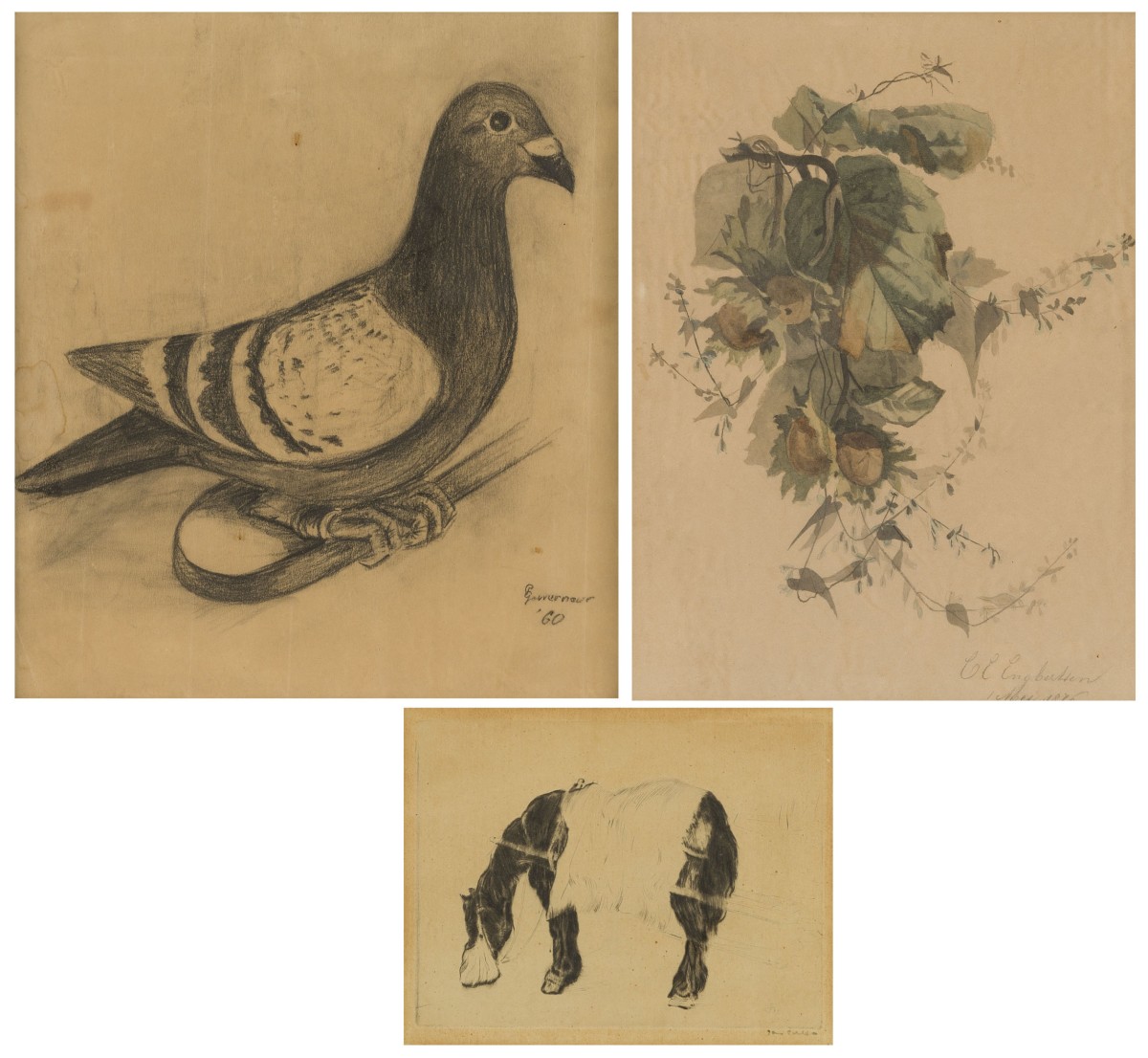 Een lot bestaande uit (3) werken op papier, waaronder een ets van een paard en een tekening van een postduif, 20e eeuw.