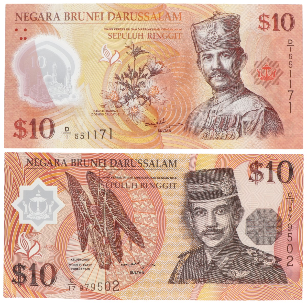 Brunei. Lot (2) 10 Ringgit. Banknote. Type 1996-2011. - UNC.