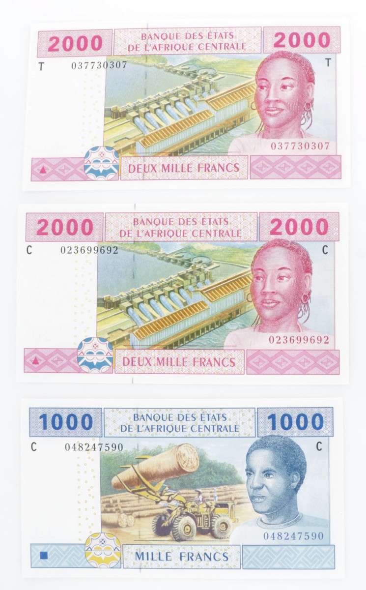 Central African States. Lot (3) 1000/2x 2000 Francs. Banknote. Type 2002. Type Congo. - UNC.