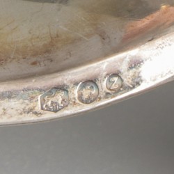Theezeef zilver.