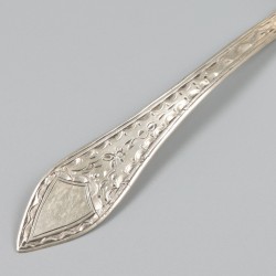 Strooilepel (Amsterdam, Anthony L. Sanders 1805-1811) zilver.