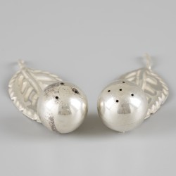 2-delig peper-en-zoutstel zilver.