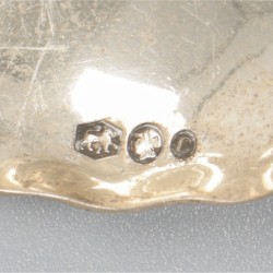 2-delig lot roomlepels zilver.