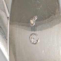 2-delig lot strooilepels zilver.
