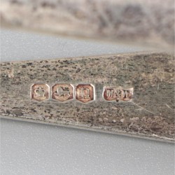 Aspergetang zilver.