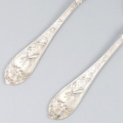5-delige set lepels zilver.